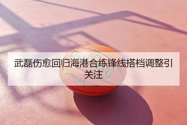 武磊伤愈回归海港合练锋线搭档调整引关注