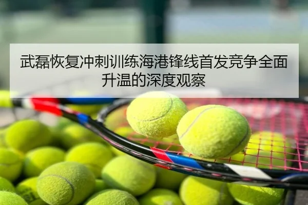 武磊恢复冲刺训练海港锋线首发竞争全面升温的深度观察